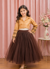 Golden Brocade Top and Net Skirt