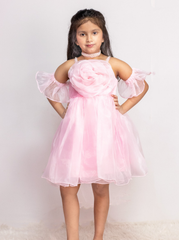 Baby Pink Organza Rose Dress