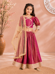Wine Brocade Lehenga with Net Dupatta