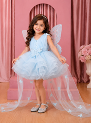 Powder Blue Butterfly Fairy Frock
