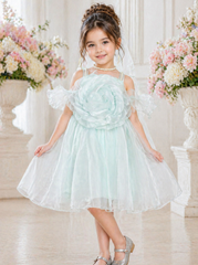 Powder Blue Organza Rose Dress