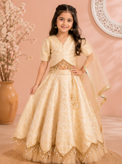 Beautiful White and Golden Lehenga Set
