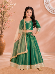 Green Brocade Lehenga with Net Dupatta