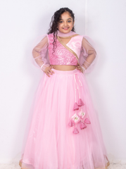 Pink Sequins and Net Lehenga Set