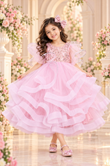Embroidered Net and Plain Net and Satin Lining