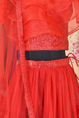 Red and Net Sequins Lahenga