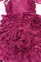 Wine Rose Flare Dress with Hairband