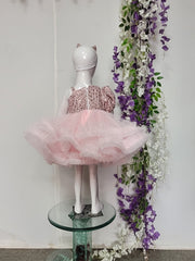Pastel Pink Shimmer and Net Princess dress
