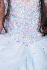 Powder Blue Cinderella Gown