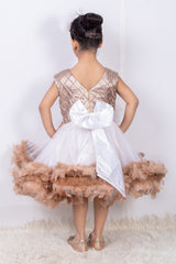 White and Golden Pocahontas Princess Dress