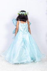 Sky Blue Organza Gown