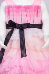 Shades of Pink Dress