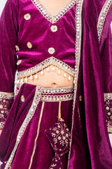 Wine Velvet Lehenga Set