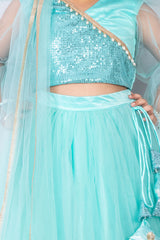 Sky Blue Sequins and Net Lehenga Set