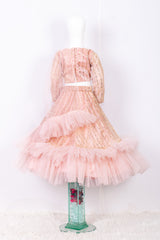 Peach Moon Light Ruffled Lehenga