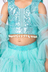 Sea Green Sequins and Net Ruffled Lehenga