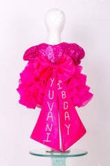 Hot Pink Sequins and Organza Barbie Dress with Customized Name