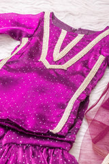 Wine Organza Sharara Suit