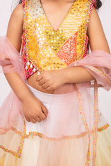 Haldi Special Colorful Lehenga Set