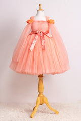 Peach Elongated Flowers Sleeves Gown