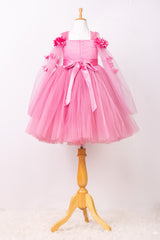 Onion Pink Elongated Flowers Sleeves Gown