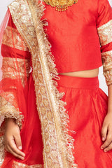 Beautiful Red Silk Lehenga