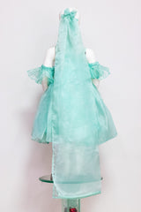 Sea Green Organza Rose Dress