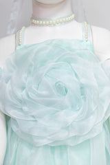 Powder Blue Organza Rose Dress