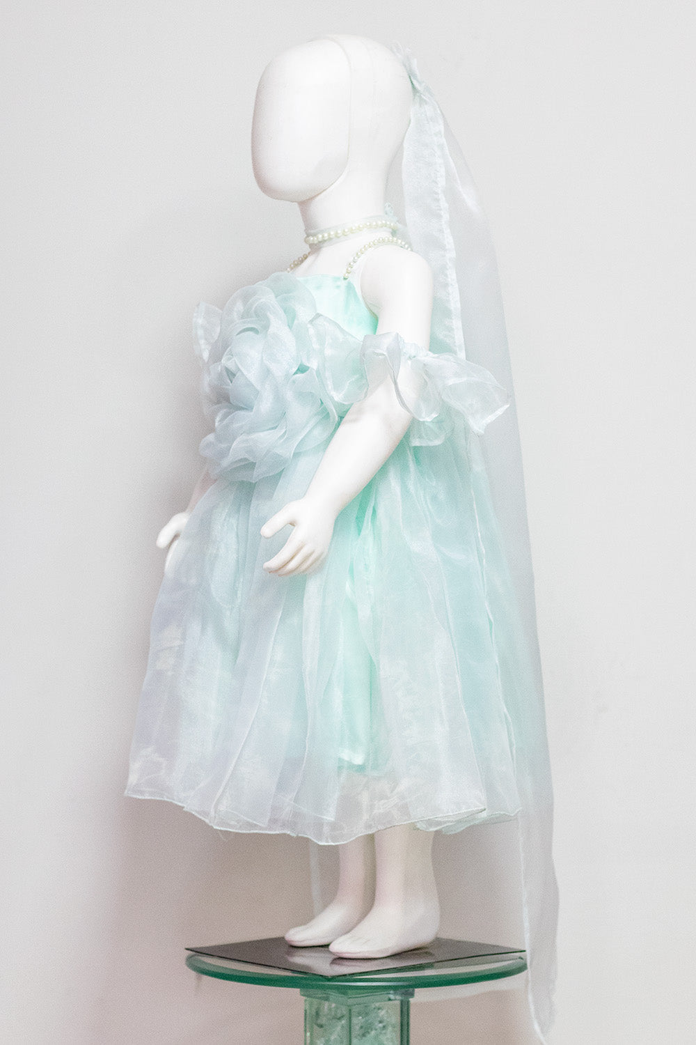 Powder Blue Organza Rose Dress