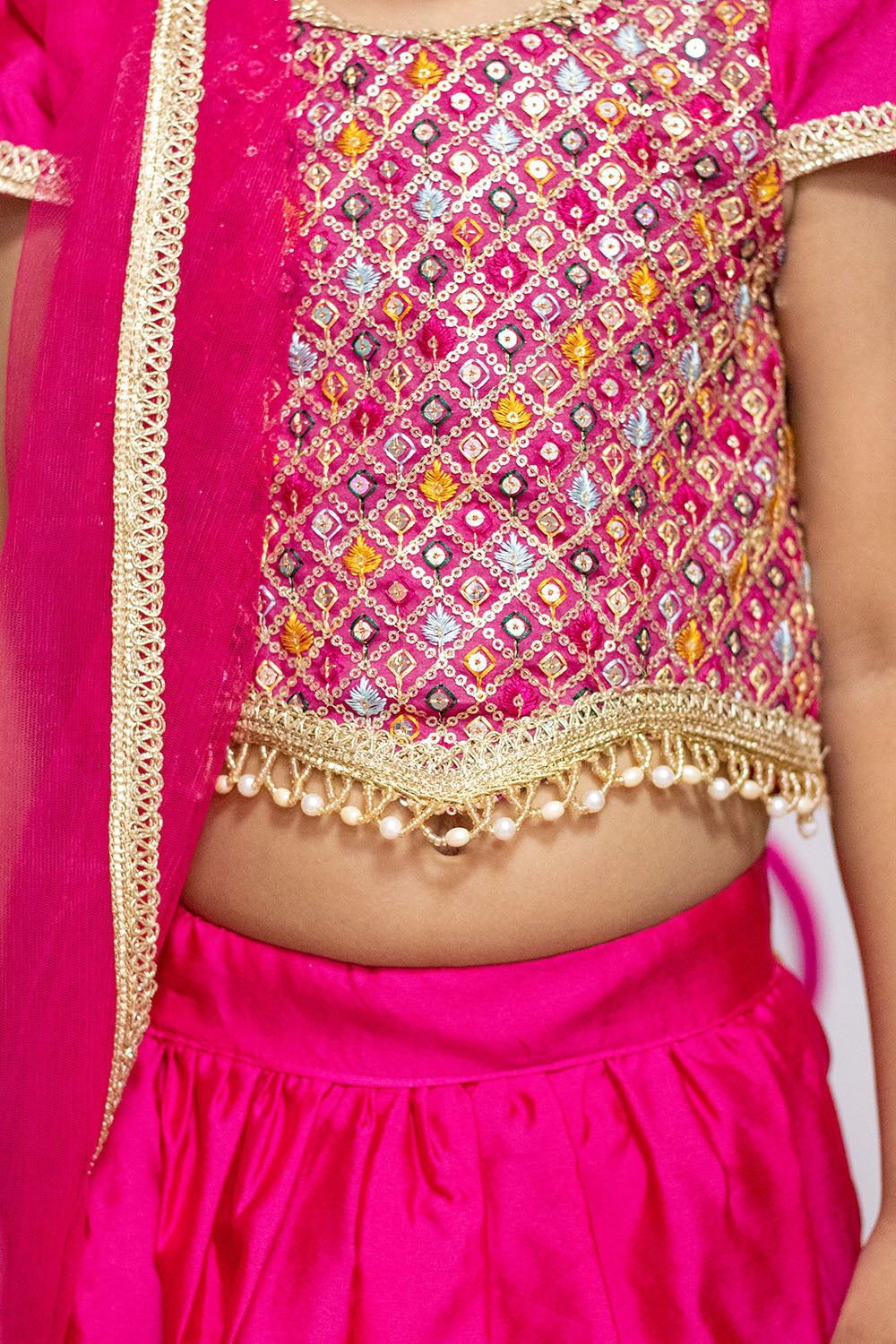 Hot Pink Thread Embroidered Lehenga