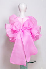 Pink Organza Dress