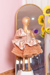 Caramel Glow Princess Frock