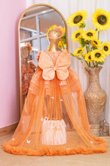 Orange Color Birthday Dress