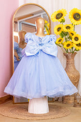 Multi Styling Cinderella Dress