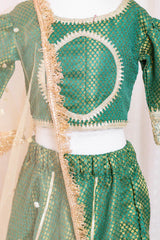 Green Brocade Lehenga with Net Dupatta