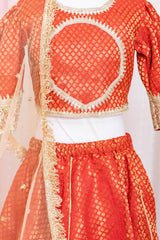 Red Brocade Lehenga with Net Dupatta