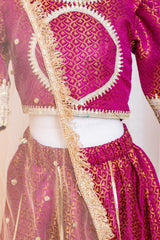 Wine Brocade Lehenga with Net Dupatta