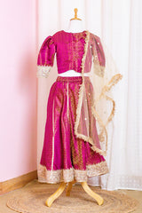 Wine Brocade Lehenga with Net Dupatta