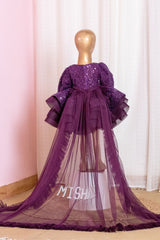Wine Embroidered Dress With Trail Dress