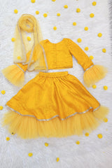Yellow Brocade and Net Lehenga