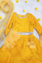 Yellow Brocade and Net Lehenga