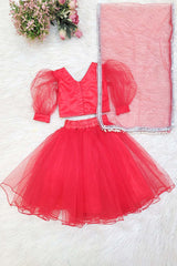 Red Net and Sequins Lehenga