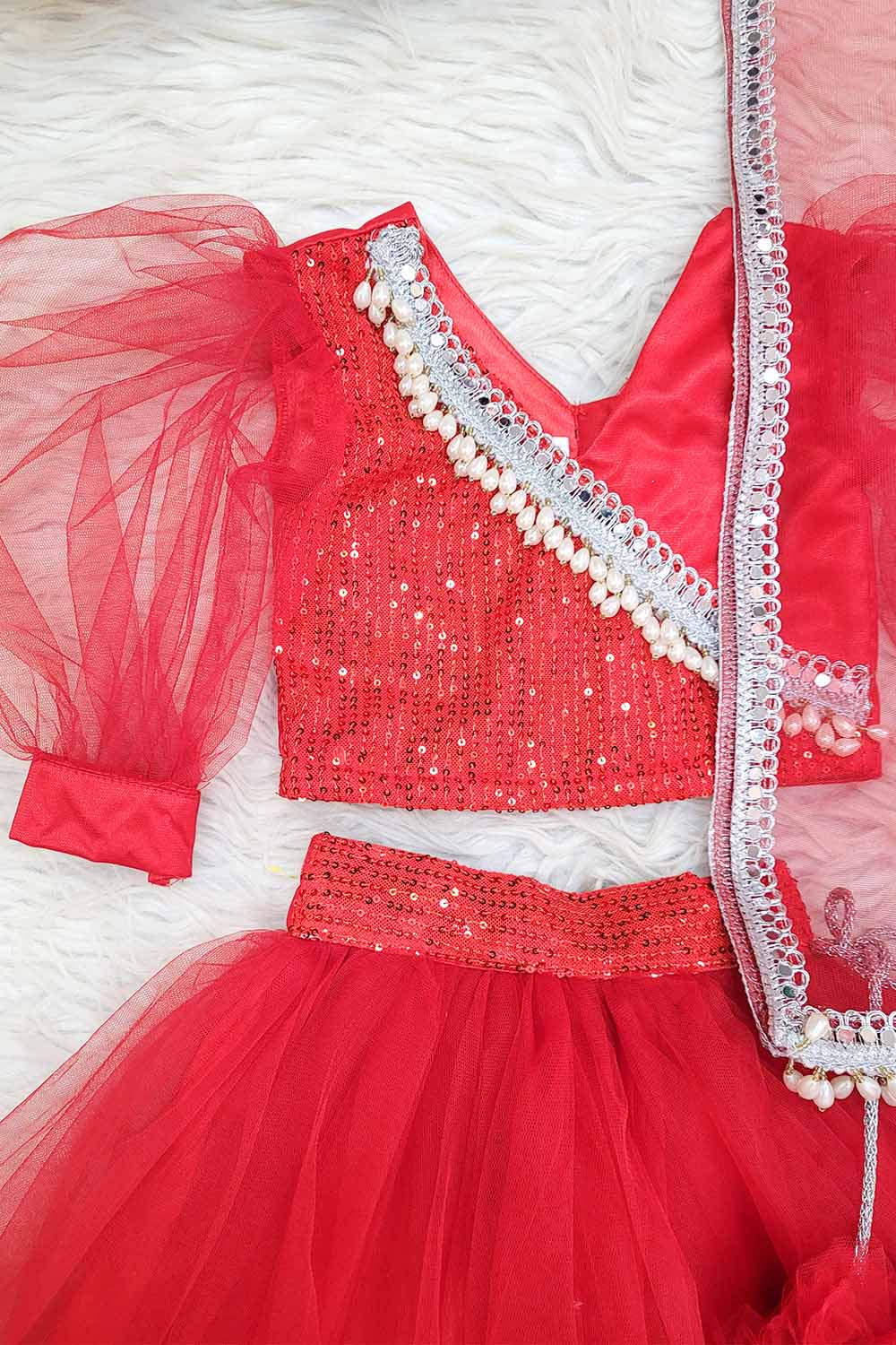 Red Net and Sequins Lehenga