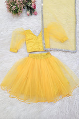 Yellow Net and Sequins Lehenga