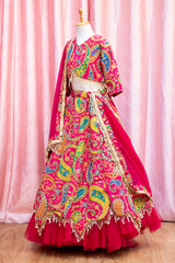 Pink Embroidered lehenga Choli