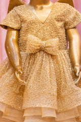 Golden Heavy Embroidered Butterfly Dress
