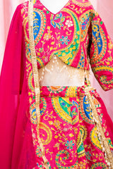 Pink Embroidered lehenga Choli