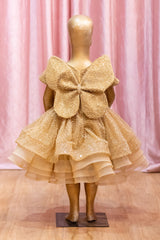 Golden Heavy Embroidered Butterfly Dress