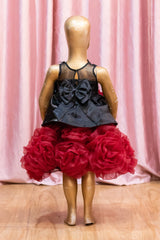 Black & Maroon Floral Organza Party Dress