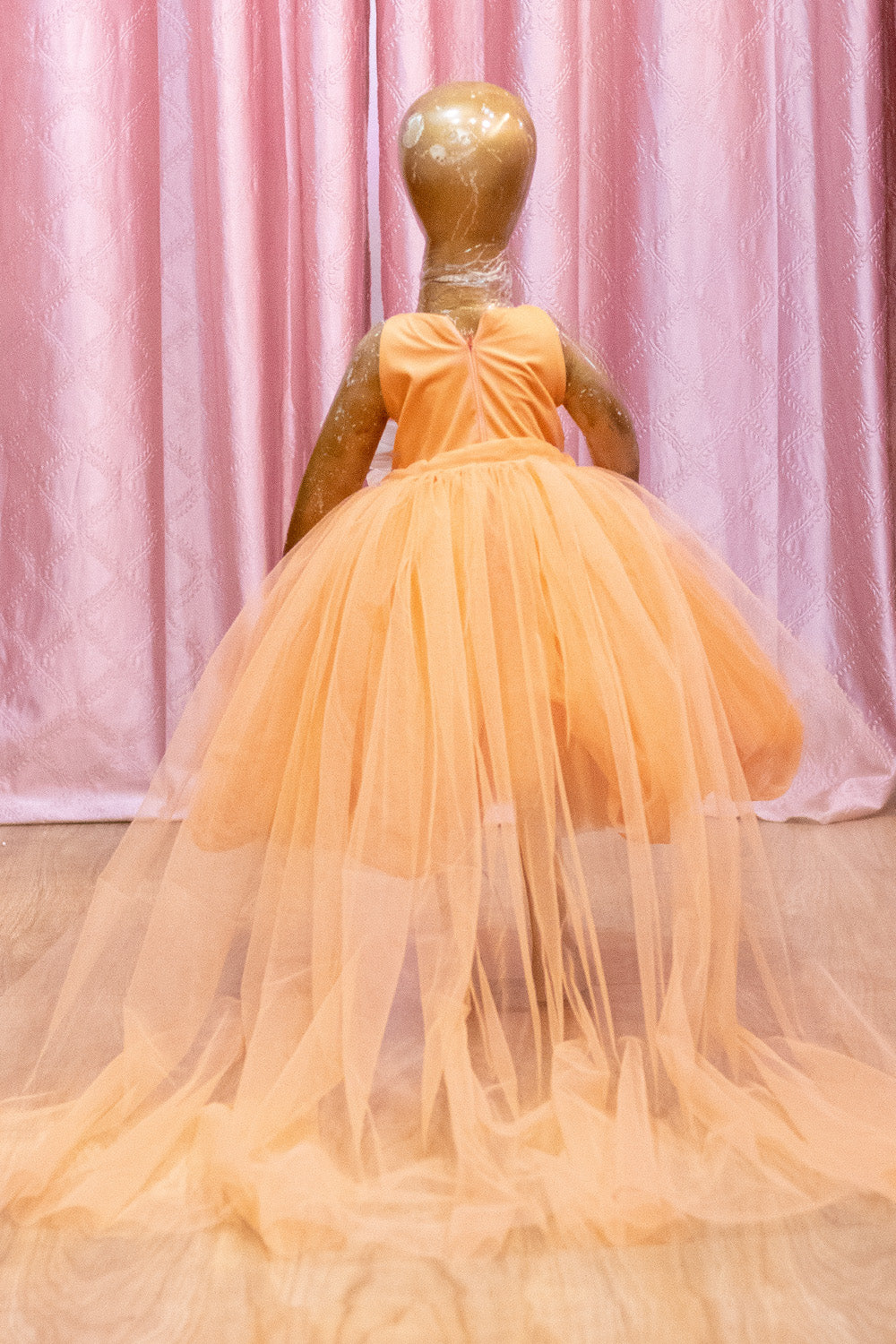 Peach Swan Theme Detachable Trail Tulle Frock